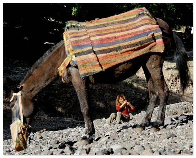 toubkal 5 (Small).jpg